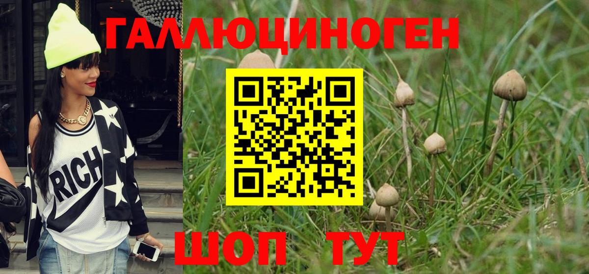 Галлюциногенные грибы Cubensis  Вход с VPN  Алапаевск 